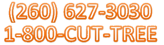Contact information for Jason Pence Tree Service, featuring phone numbers (260) 627-3030 and 1-800-CUT-TREE, emphasizing local tree care services in Auburn, Indiana.