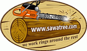tree removal service fort wayne
