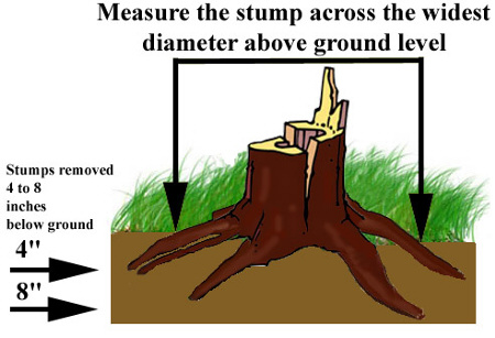 Stump Removal
