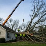 Emergency tree removal crew using a crane to remove a fallen tree from a house after storm damage